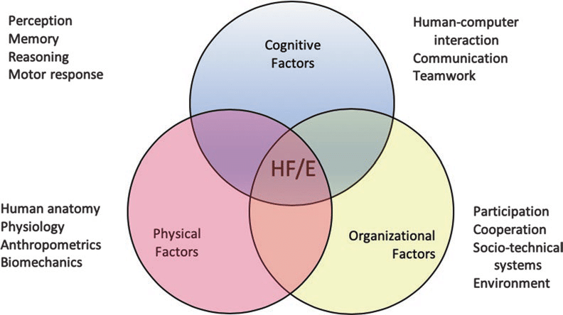 What Is Ergonomics And Why Is It Important?